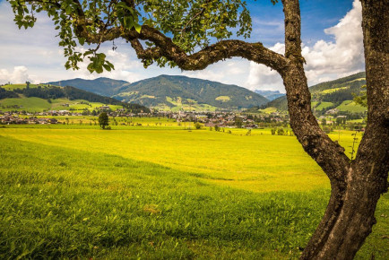 Hacklbauer - Altenmarkt - Salzburger-Land - Bauernhof - 5