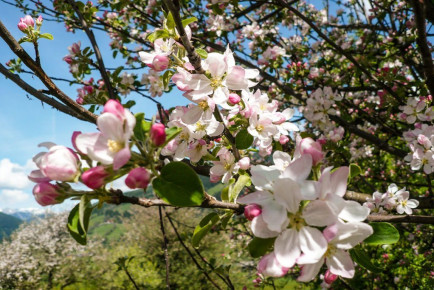 Sommer- & Winterurlaub beim Hacklbauer in Altenmarkt, Bauernhofurlaub im Salzburger Land