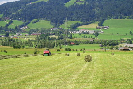 Sommer- & Winterurlaub beim Hacklbauer in Altenmarkt, Bauernhofurlaub im Salzburger Land