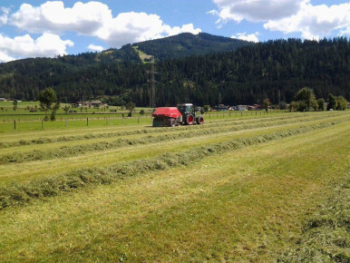 Sommer- & Winterurlaub beim Hacklbauer in Altenmarkt, Bauernhofurlaub im Salzburger Land