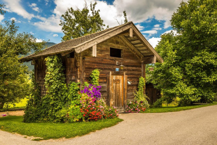 Tiere, Kräuter & Obst im Bauernhofurlaub in Altenmarkt, Salzburger Land