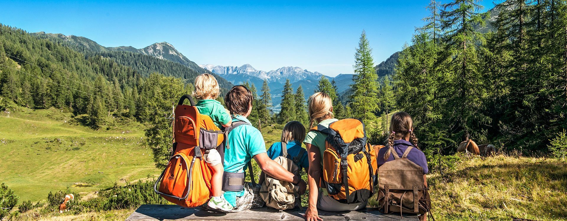 Beitragsbild Frühling, Sommer & Herbst – Urlaub auf dem Bauernhof Hacklbauer in Altenmarkt, Salzburger Land