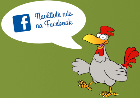 Facebook Hacklbauer